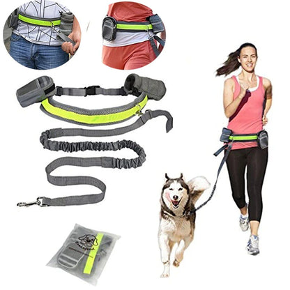 Pet Dog Cat Elastic Reflective Belt Running Jogging Leash Set Leash Collar Pet Accessories Puppy Harness Walking Training