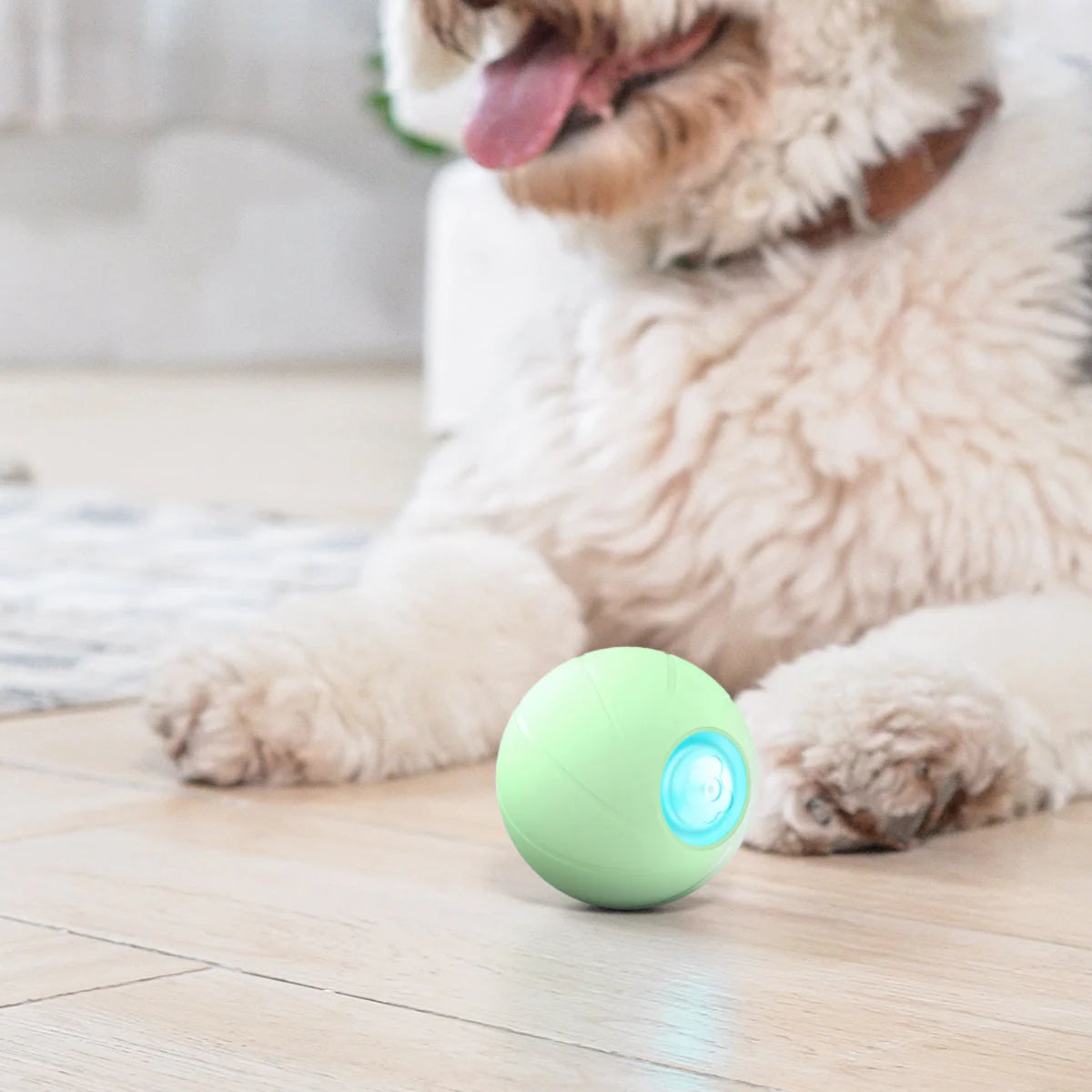 Superidag Wicked Ball-Smart Rolling Ball Pet Toy